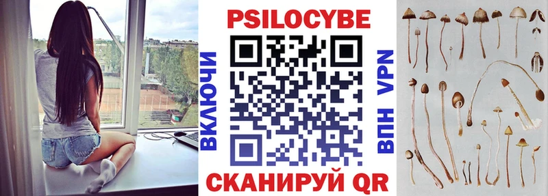 Псилоцибиновые грибы ЛСД  хочу наркоту  мега как войти  Кировск 
