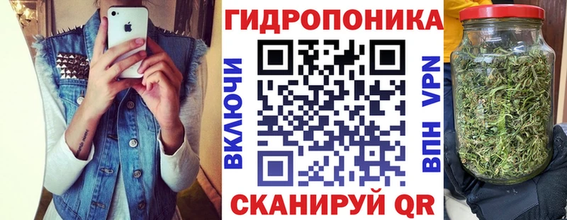 Бошки марихуана Amnesia  ссылка на мегу   Кировск 